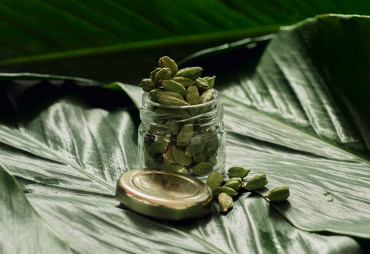 Herbs for Digestive Health: Nature’s Remedies for a Happier Gut