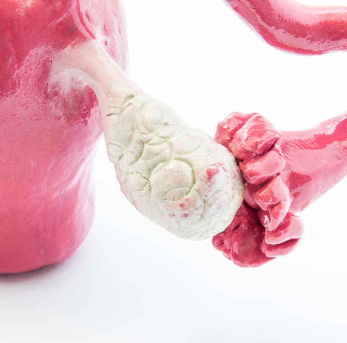 Signs of Ovulation and How to Track Them (Especially if You're Struggling to Conceive)